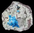 Vibrant Blue Cavansite Cluster on Stilbite - India #67790-1